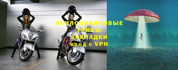 мдпв Верхний Тагил