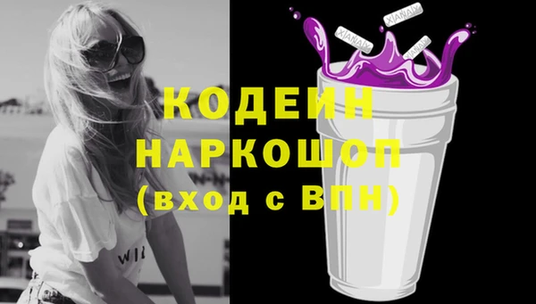 мдпв Верхний Тагил