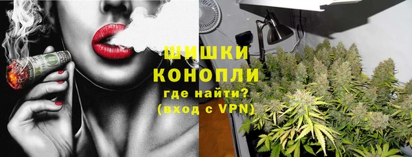 мдпв Верхний Тагил