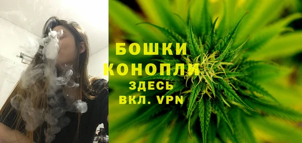 мдпв Верхний Тагил