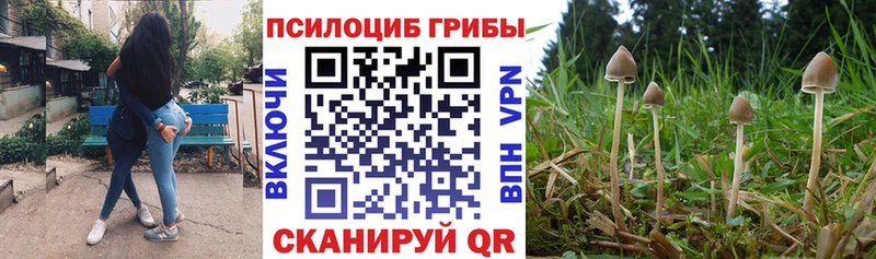 Галлюциногенные грибы ЛСД  Вологда 